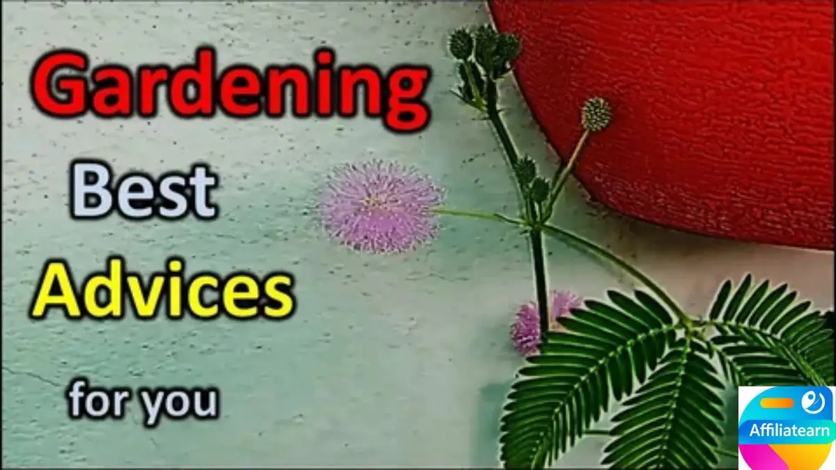 Basic Gardening Advice: Easy Way to Start Gardening