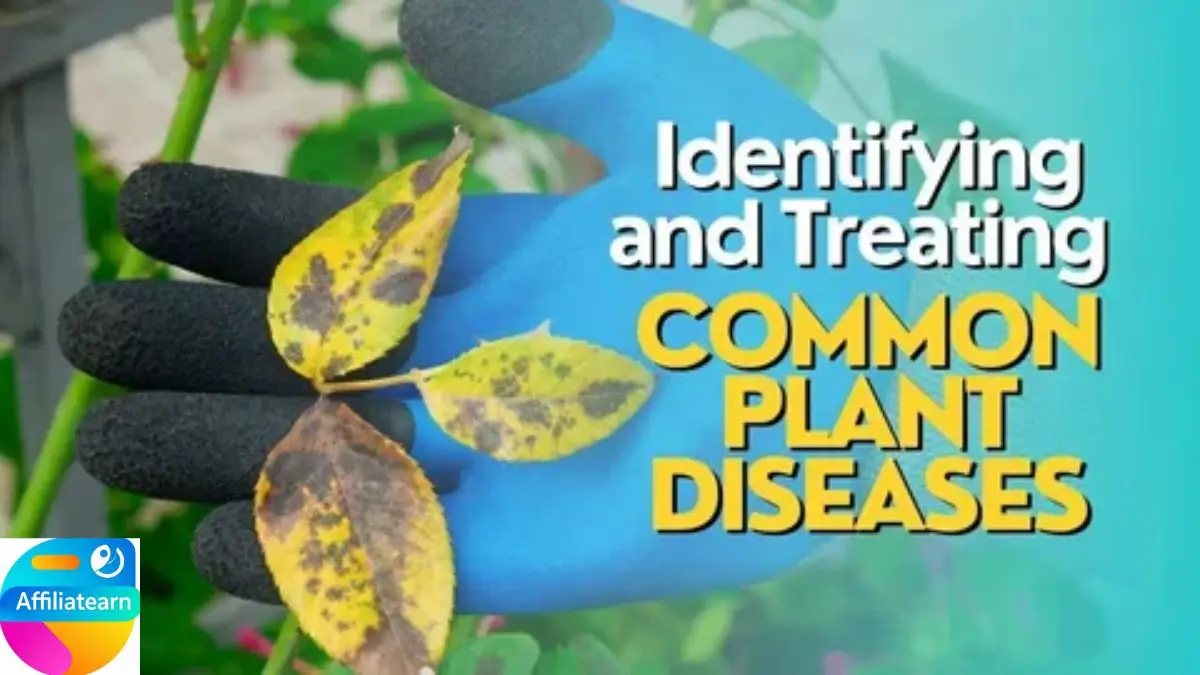 Problems and solutions with common plants: a complete guide to healthy plants