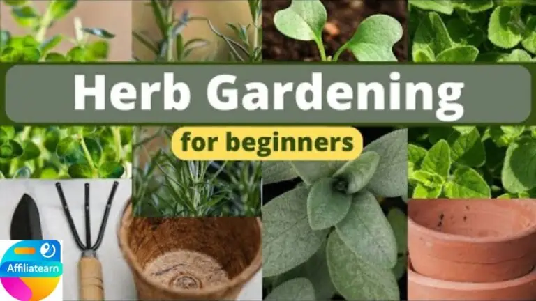 How to start an outdoor garden: The best plants to grow easily as a beginner