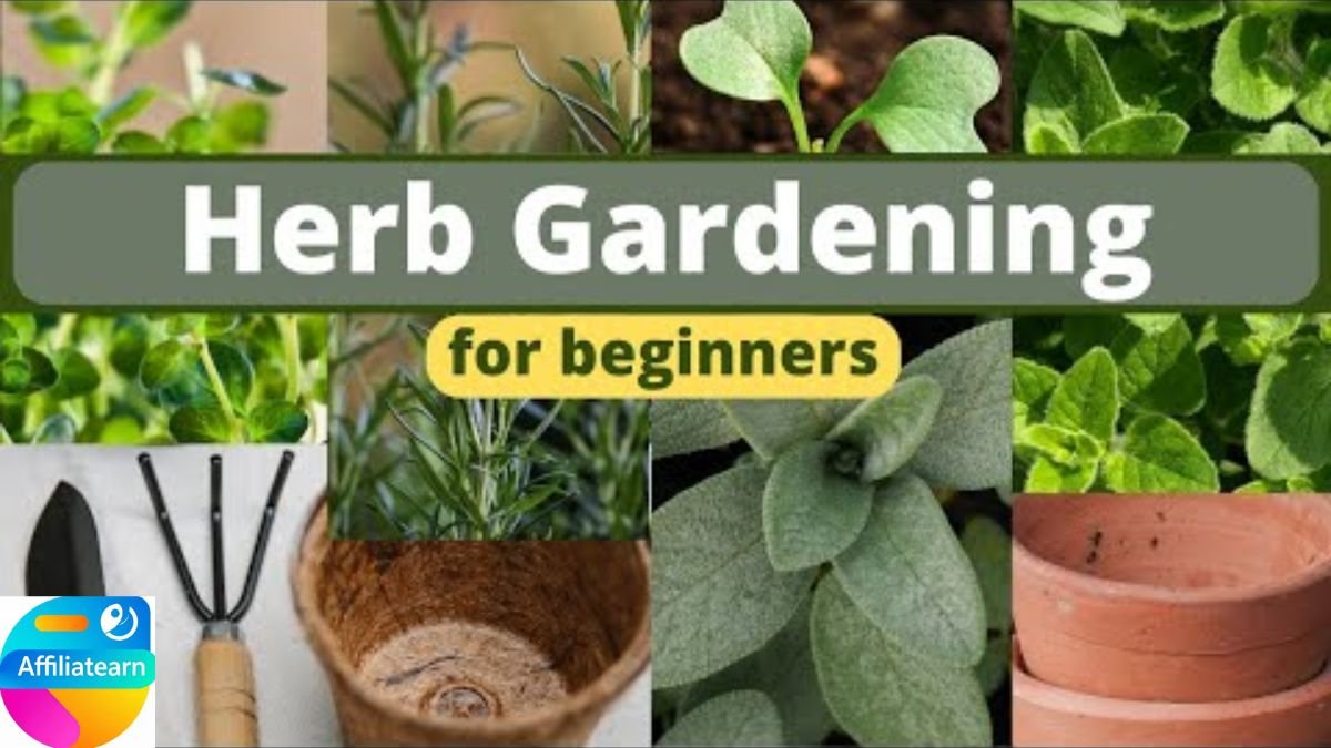 How to start an outdoor garden: The best plants to grow easily as a beginner