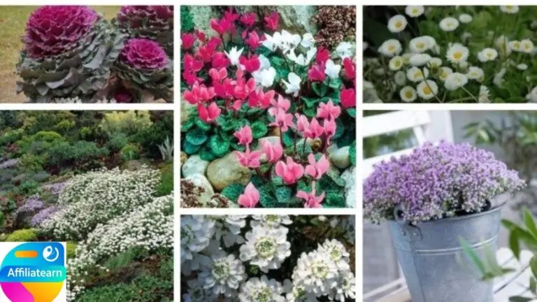 Flowers That Flower through the Year: Best Plants to Keep the Garden Blooming
