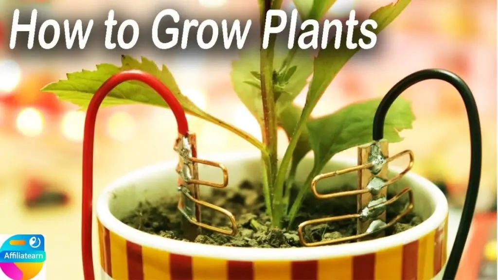 How to Grow Plants Fast without using chemicals: The Sure Strategies to grow healthy