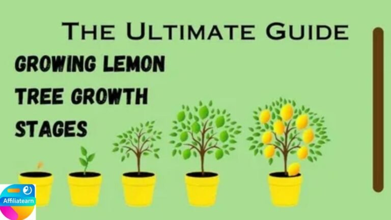 How to grow healthy plants organically: The Natural secrets of growing better