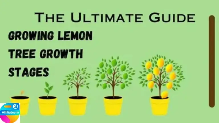 How to grow healthy plants organically: The Natural secrets of growing better