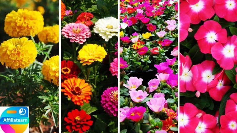 The Seasonal Flowering Plants in India: Finest Flower of Each Season